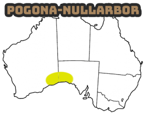 la localizacion de la pogona nullarbor en el sur de australia siendo de las zonas mas pequeñas